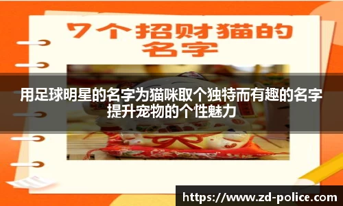 用足球明星的名字为猫咪取个独特而有趣的名字提升宠物的个性魅力
